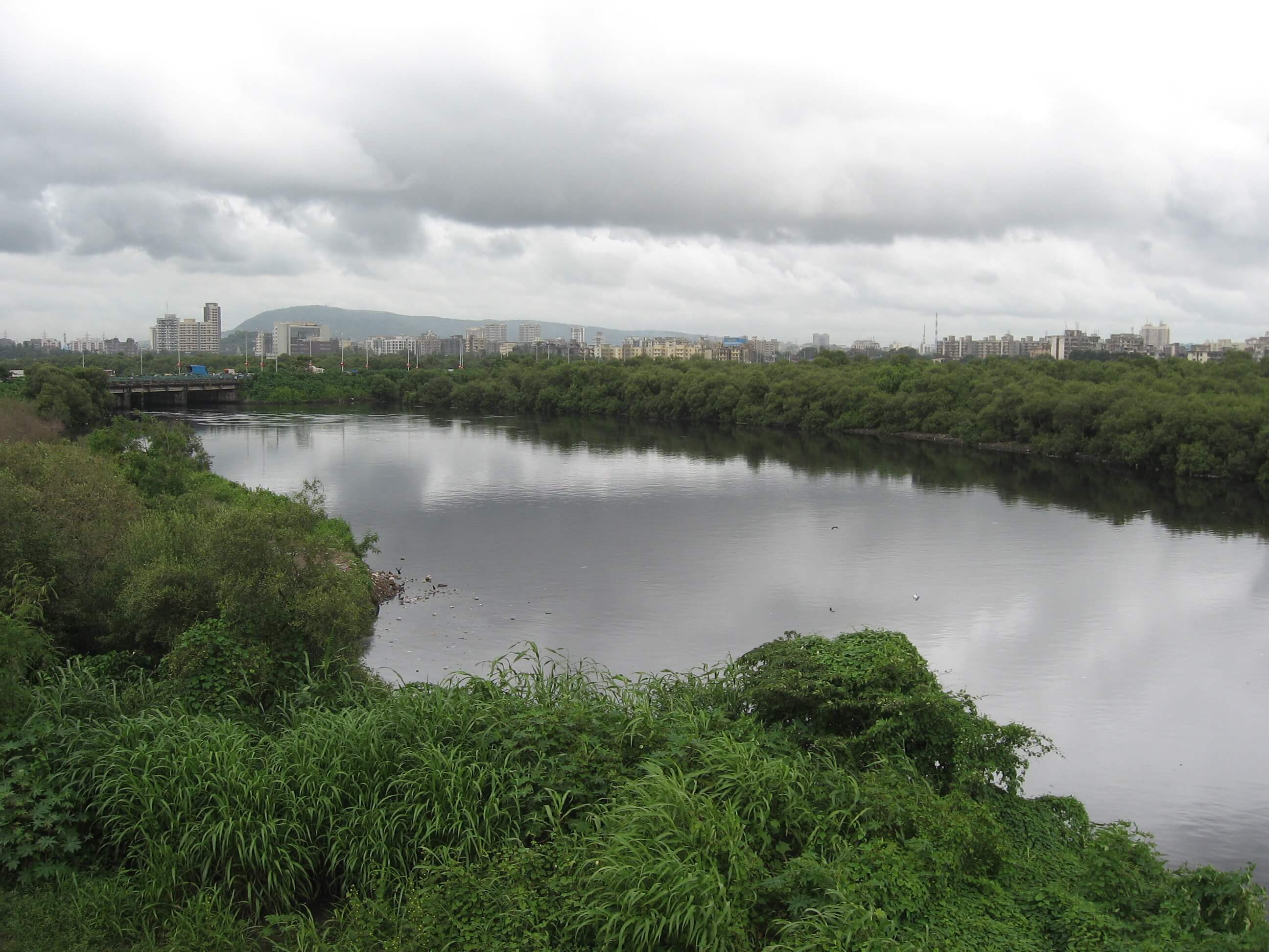 Restoring the natural flow of the Mithi River