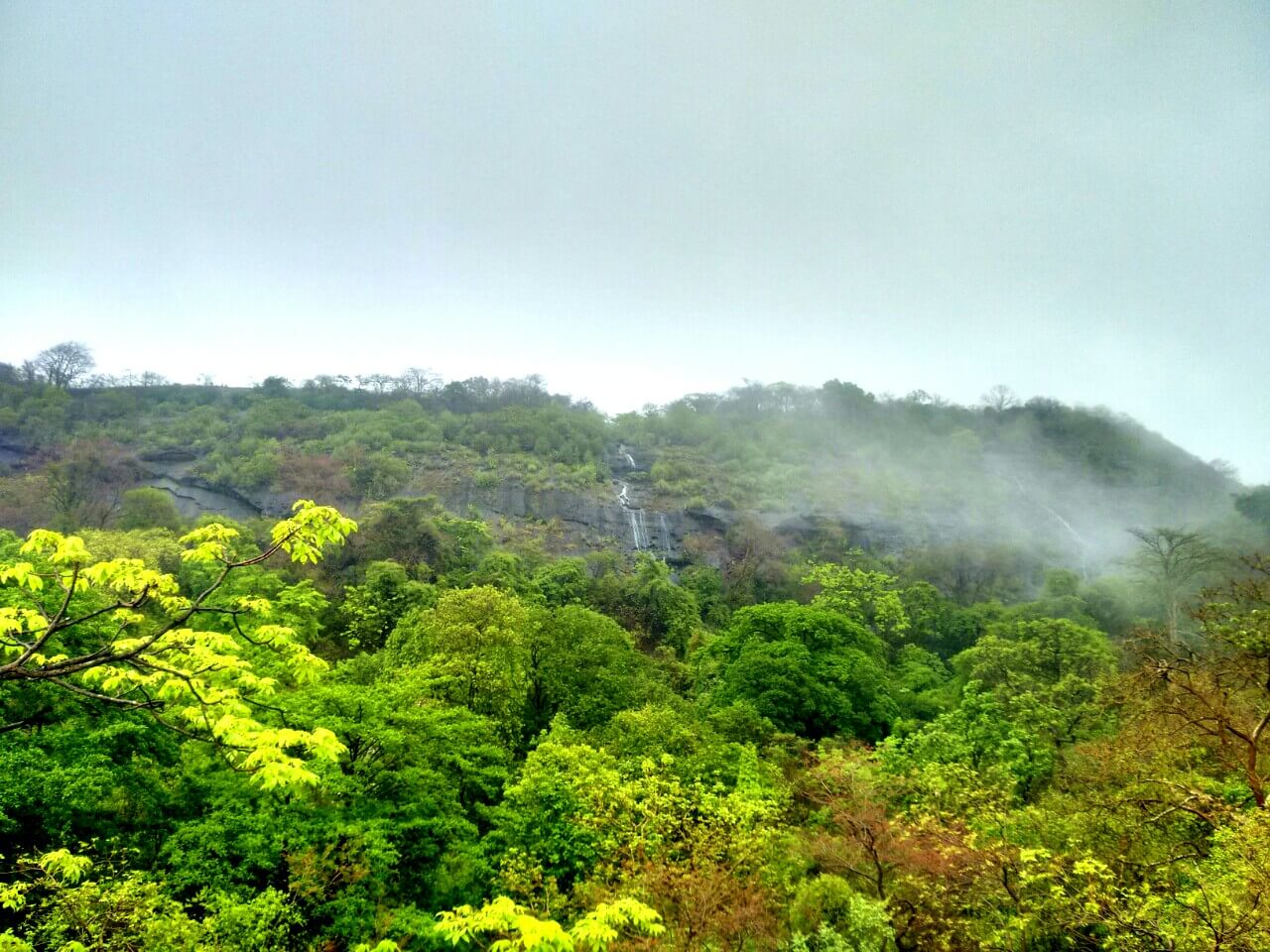 Sanjay Gandhi National Park