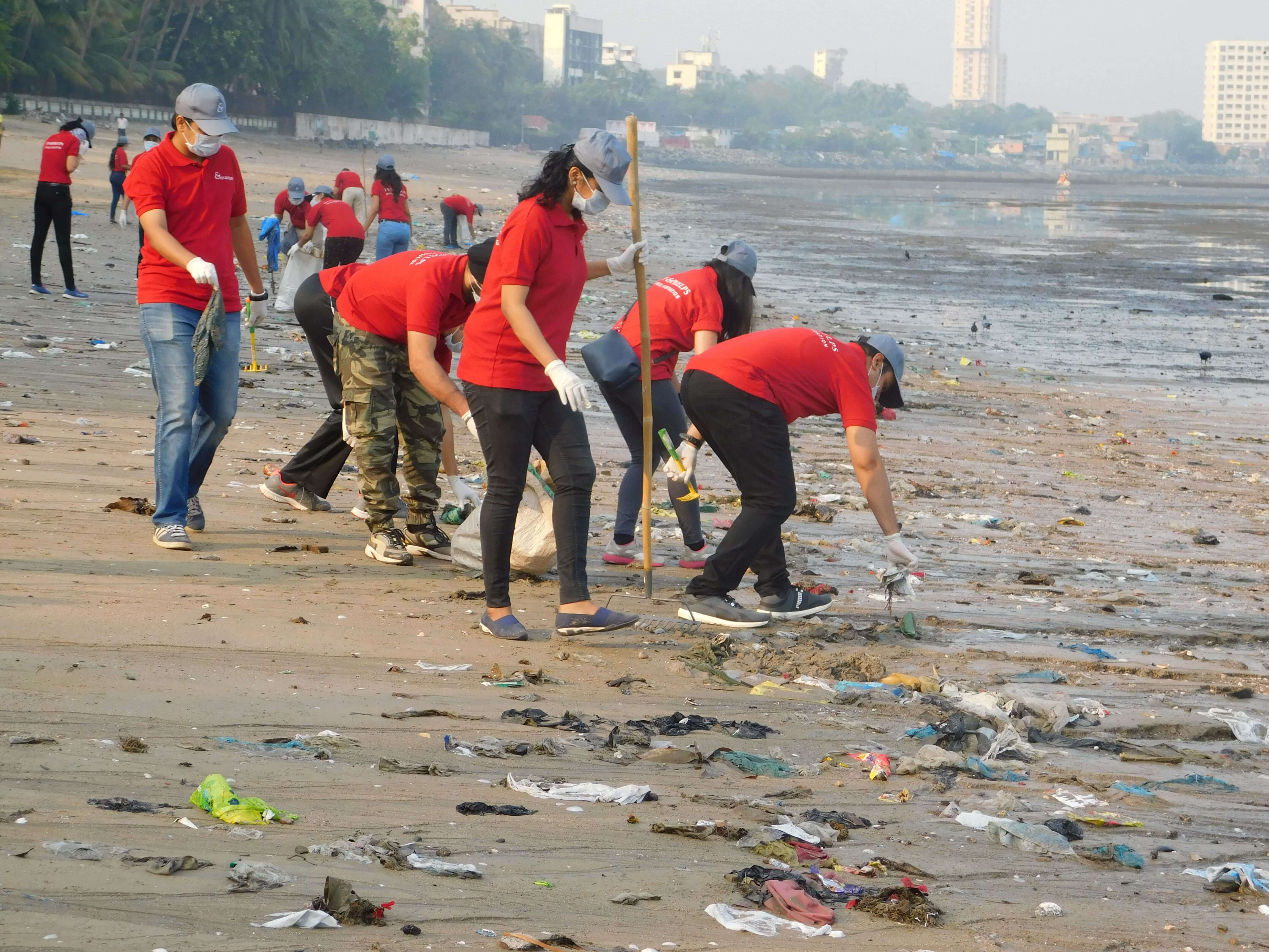 Coastal Cleanups