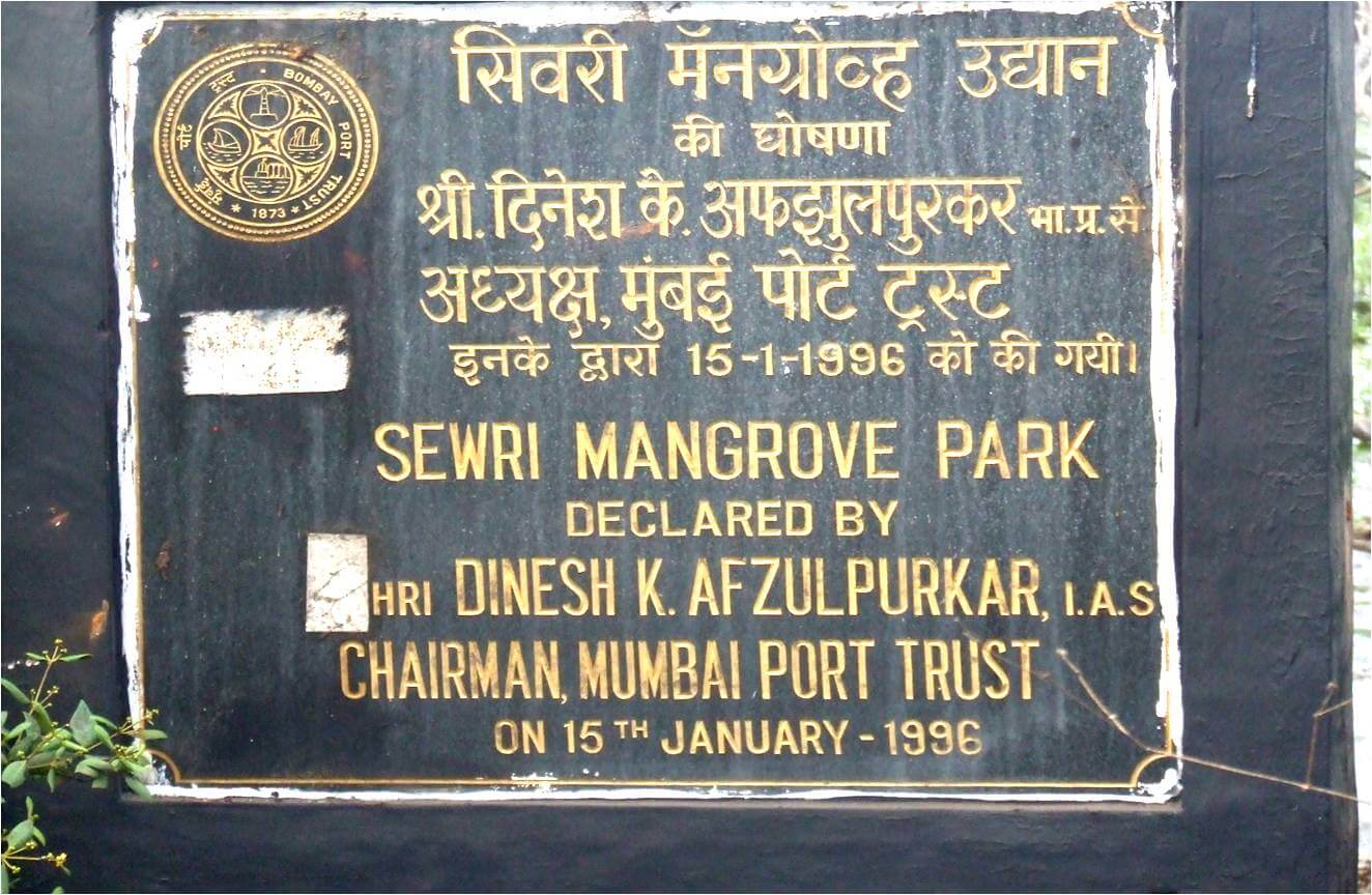 Rescue of Sewree Mangrove Park