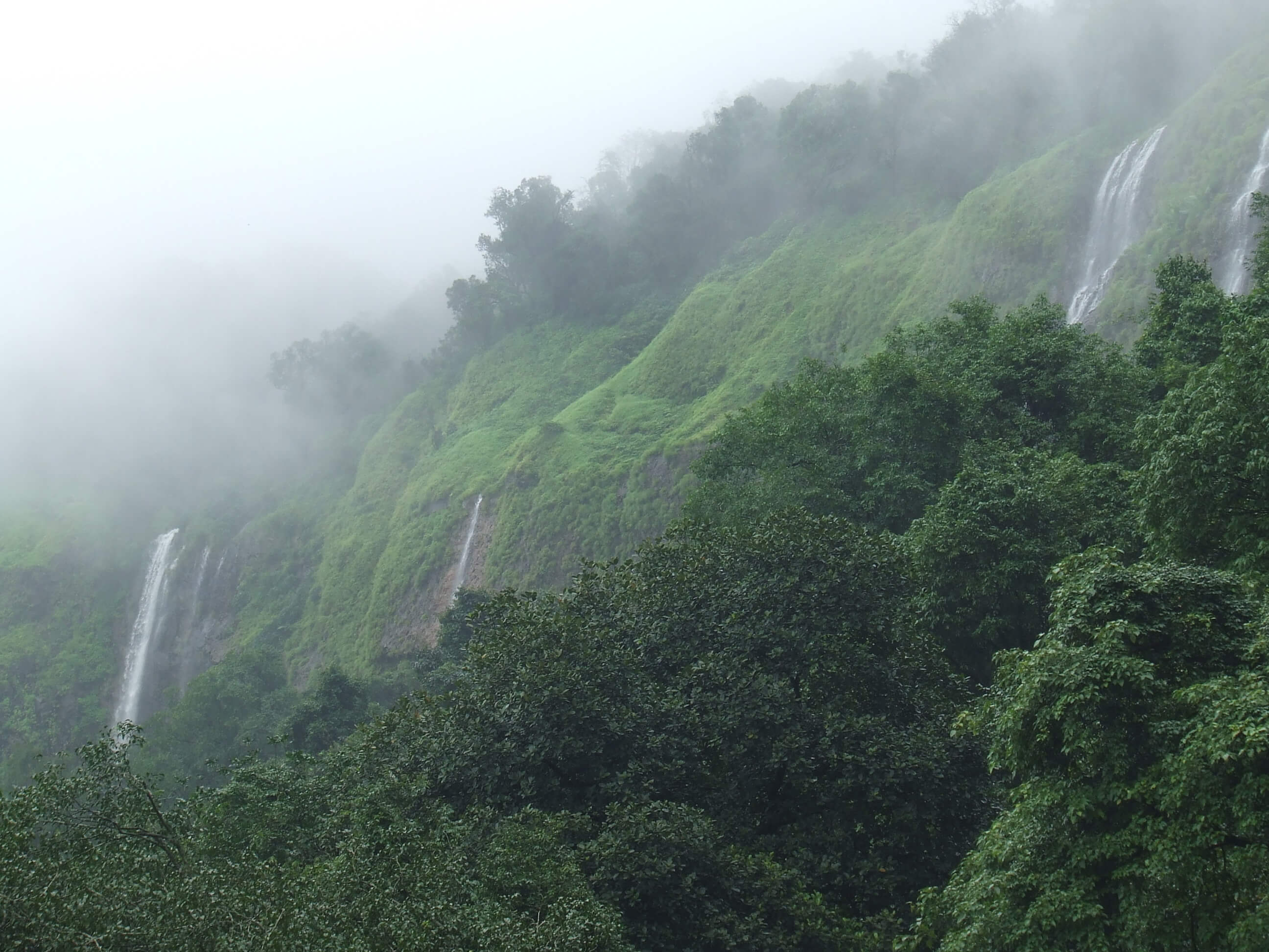 Sawantwadi - Dodamarg wildlife corridor